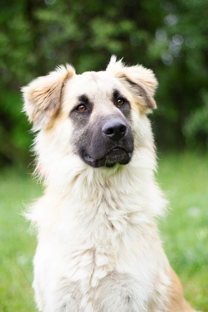 ����� ����� ����� ���