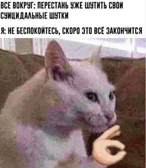 Ох уж этот шутник!