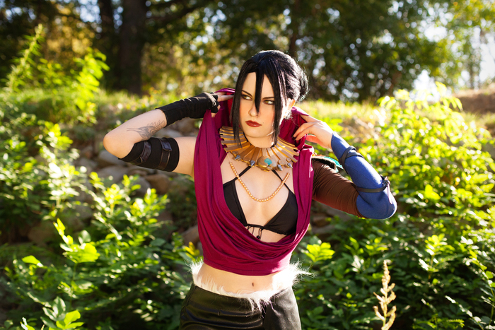      "Dragon Age: Origins" ,  , , , , , Dragon Age, , ,   