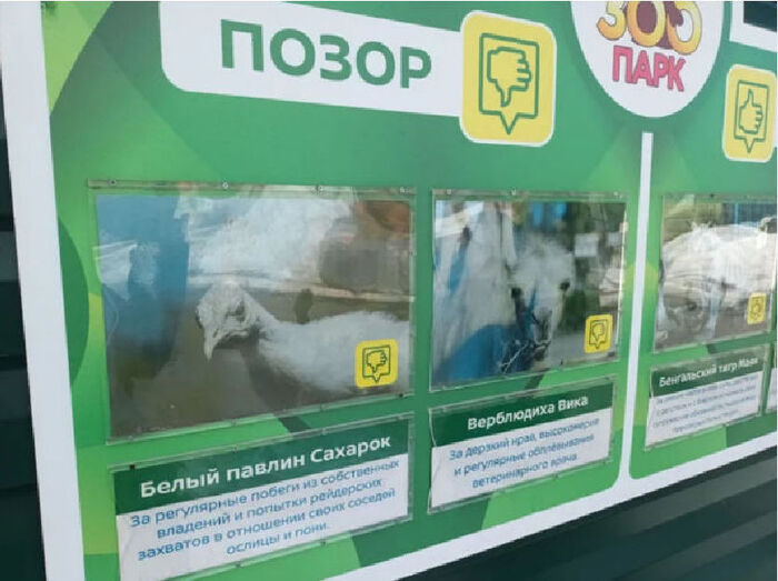 Зоопарк | Пикабу