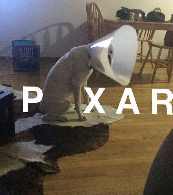 Pixar | Пикабу