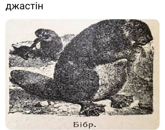 ��������������������