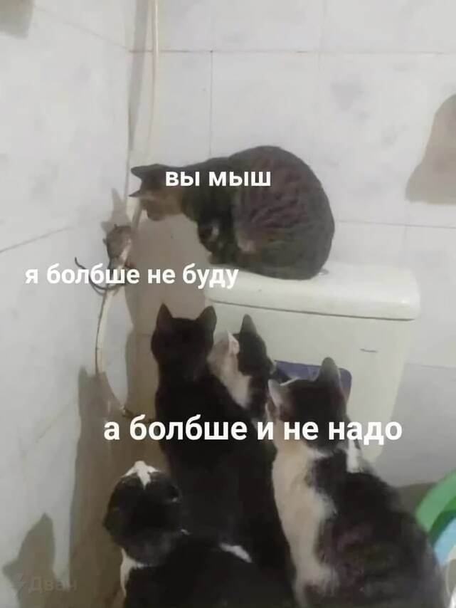 ��������������������