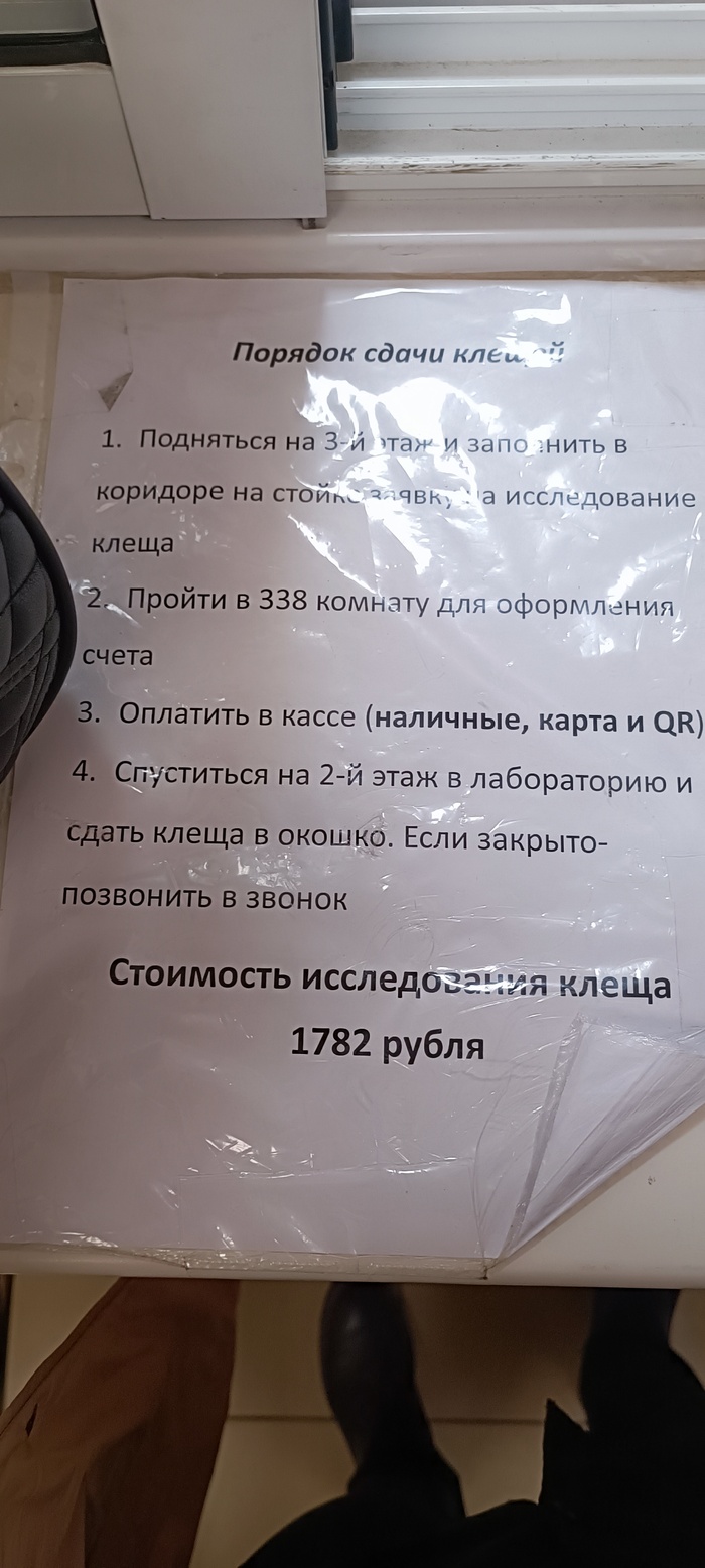 Не про грибы Больница, Защита от клещей, Клещ, Грибы, Длиннопост