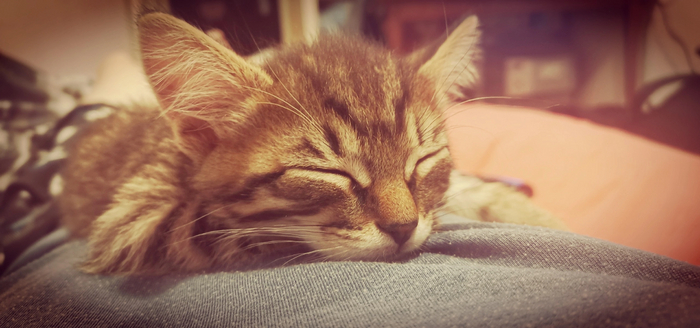 Живу вот с таким чудом