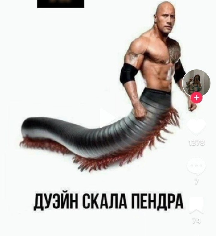 ��������������������