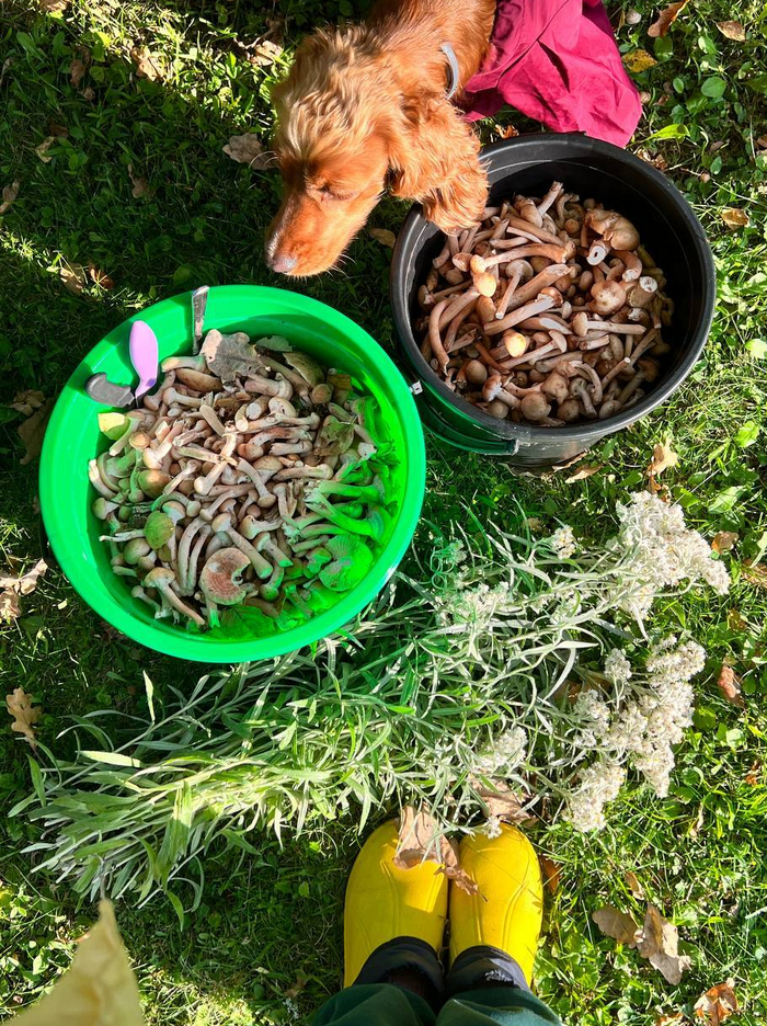 �������� ������ - 2 ����� ����.