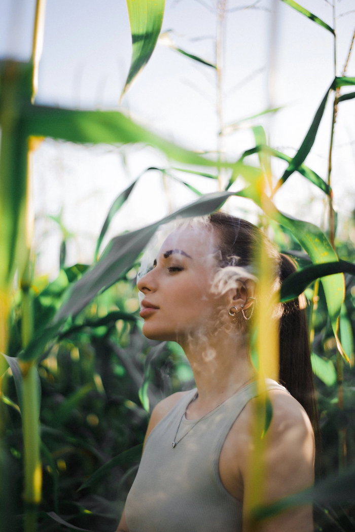 ���������� ����