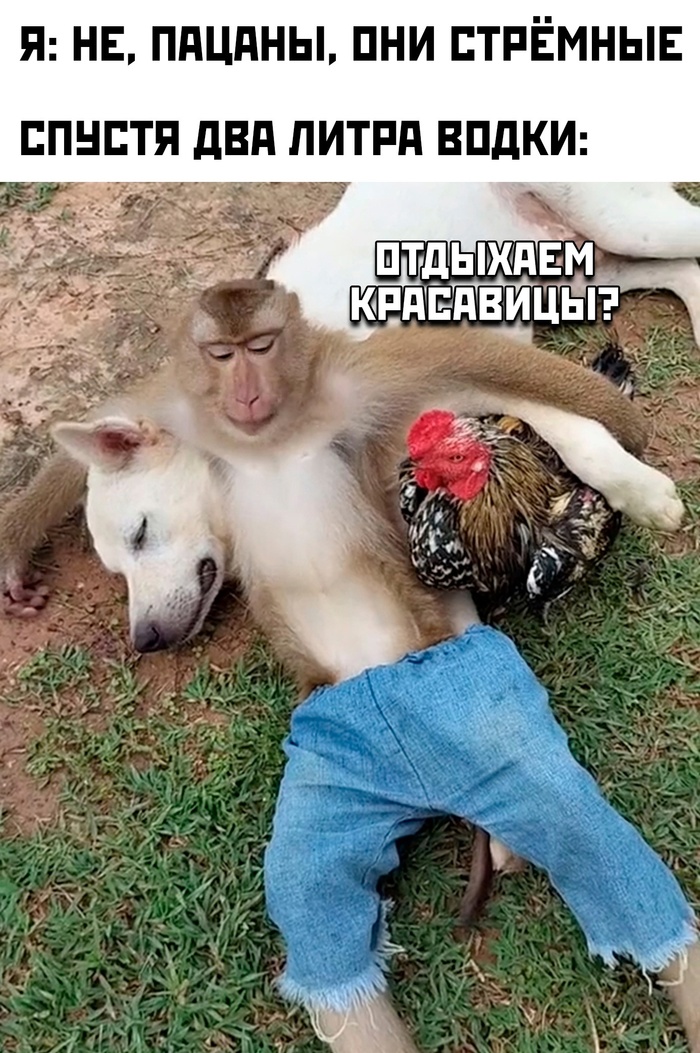 �������� ������� �� ������, ������ ���� ������� �����