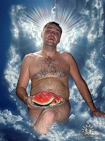 ��������������������