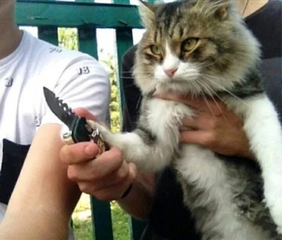 ��������������������