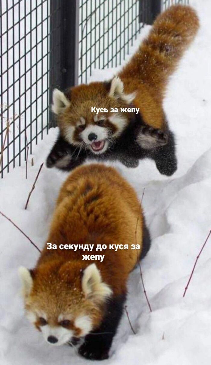 ��������������������