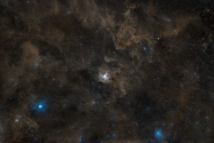 Integrated Flux Nebula    (NGC7023).    , , , , , Sony