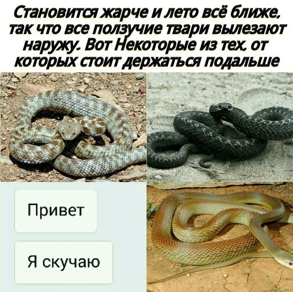 ��������������������