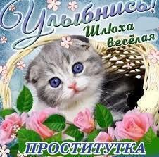 ��������������������