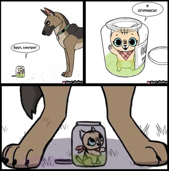 ��������������������