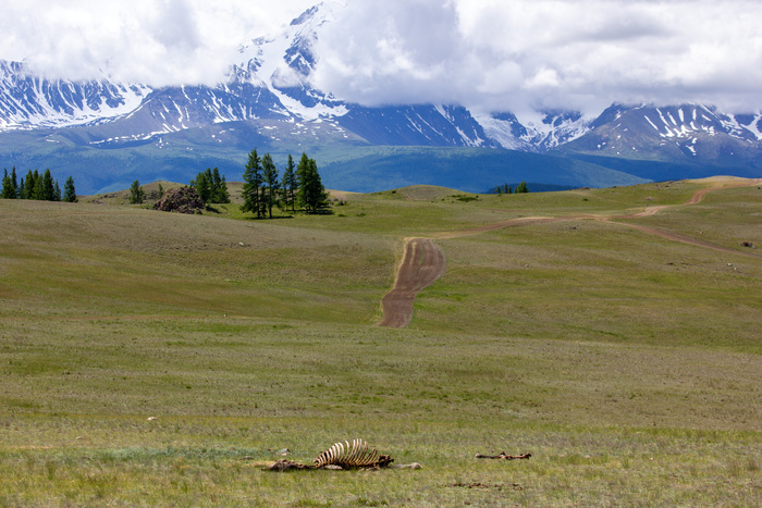 ��������� �����, ������ ��������� ���������, ������������ ������, ����� ���� ����� :(