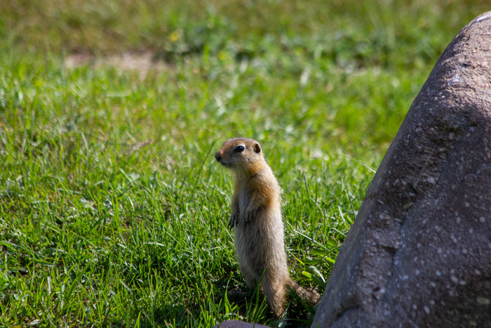 �������� ������