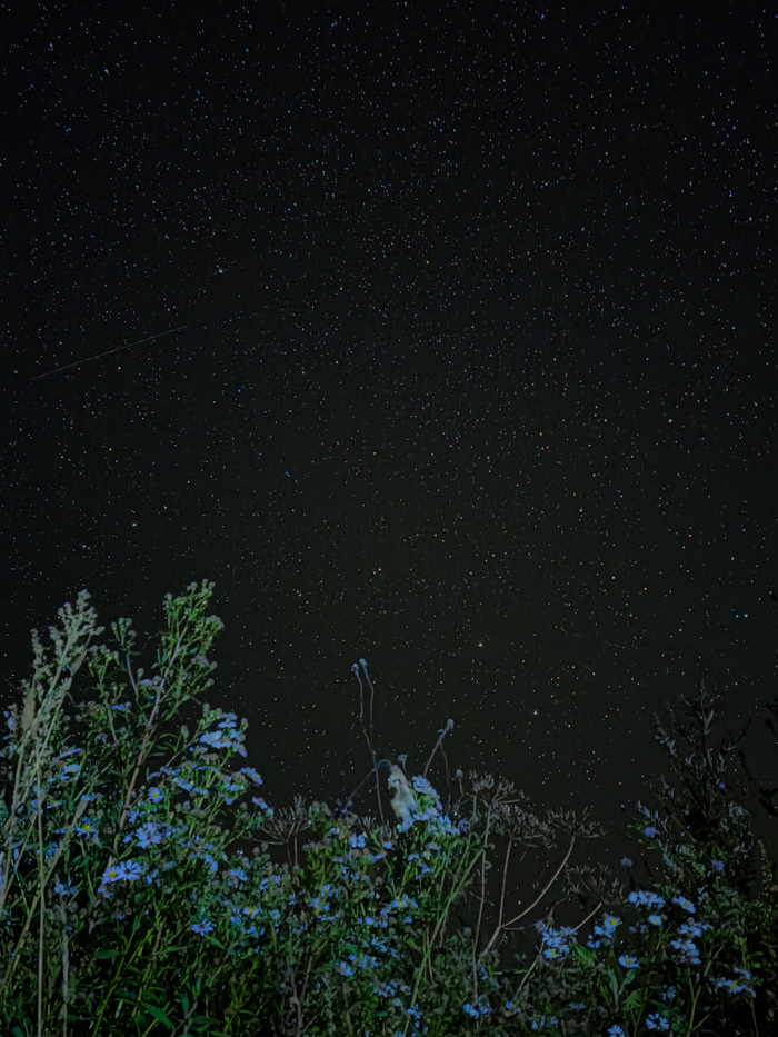 Осенняя ночь