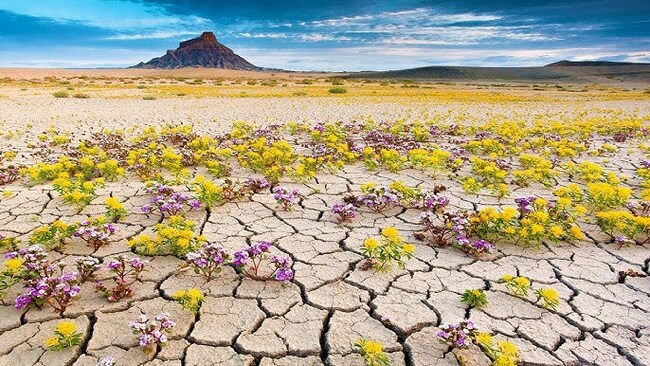 Подборка необычных пустынь Пустыня, Красота, Интересные места, Подборка, Путешествия, Необычное, Длиннопост, Фотография