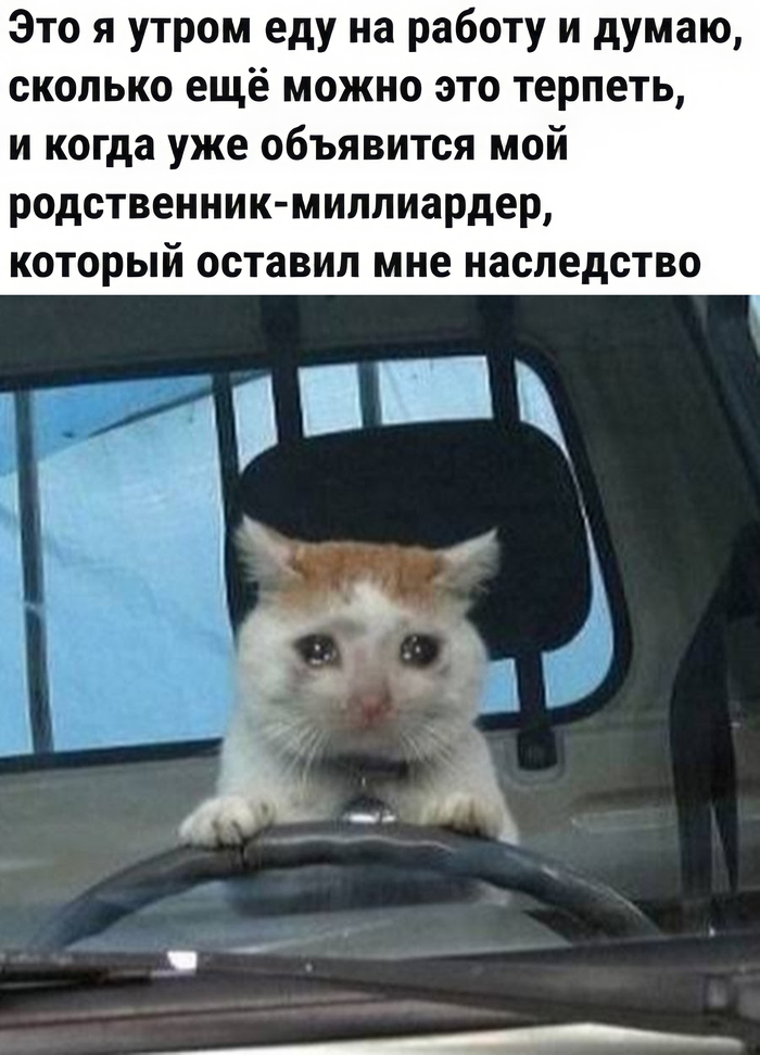 Грустное | Пикабу