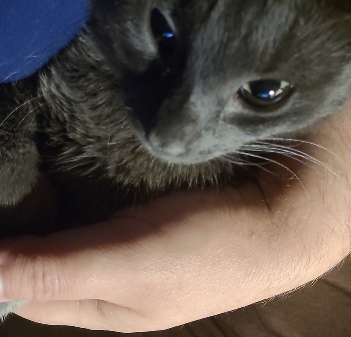 мимо не пройдешь!