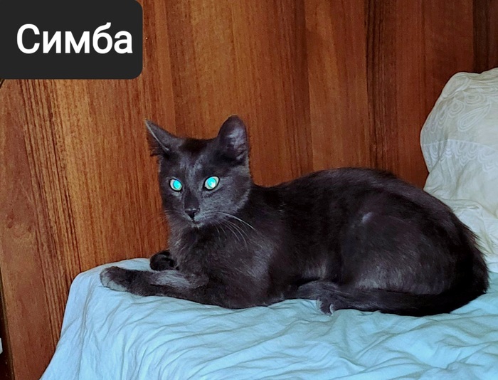 это его первое фото в этом доме.