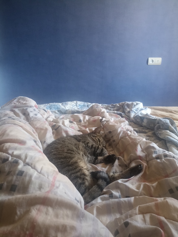 ������ �����