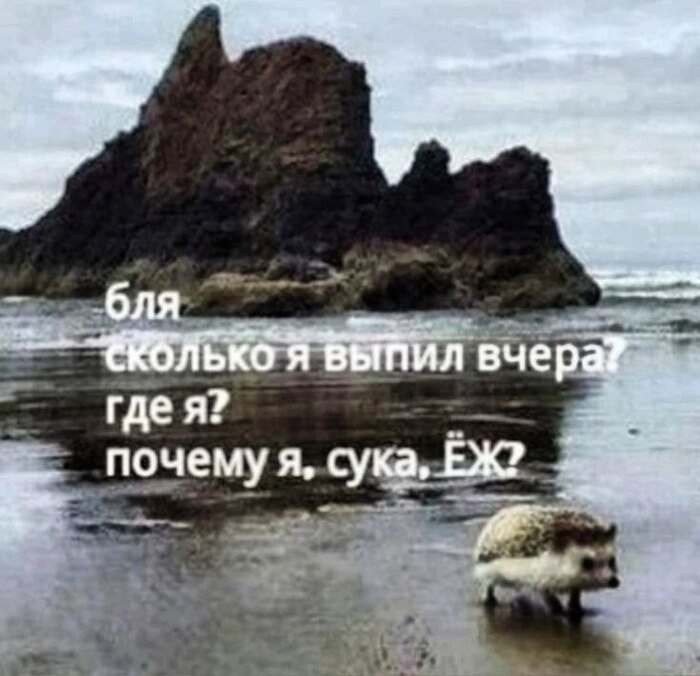 ���, ��� �� ����. ��� ����������. ��, ������ ��� ��������, ��������� ����, ��� ������ � ������ �����, ������, ��� �� ���. ������ ������ �������� �� 100%, ��� ��� ����� ����������, ��������� ��� �������� ���������������� ��������� �������. ������ ���������