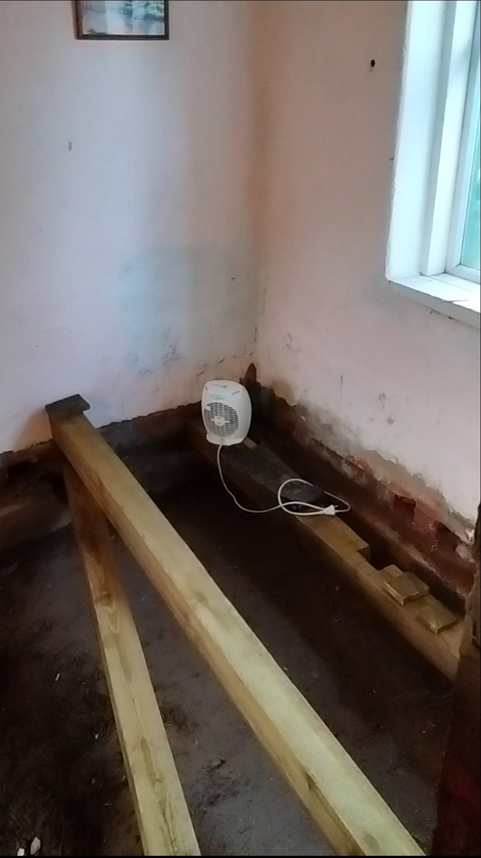 ������ ��� ��� ���� - ��������� ����.