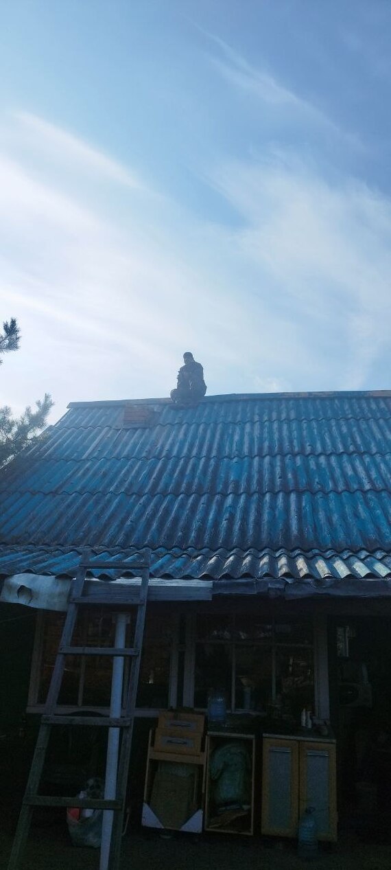 �����, ��� � �������)