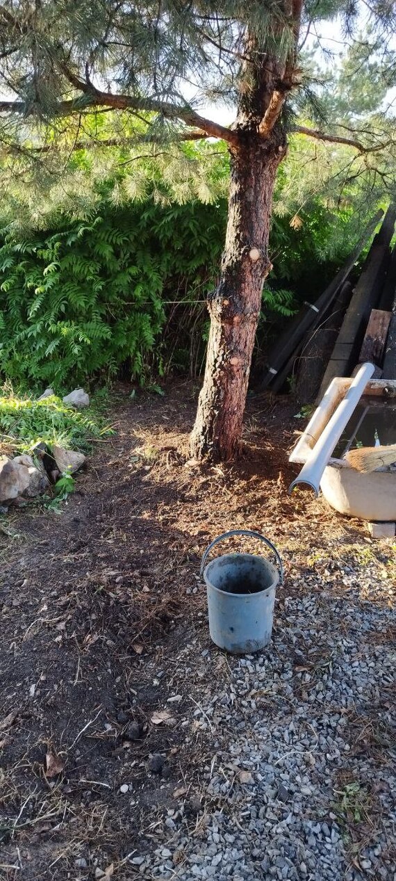 � ���� ������ - ���������� ����� ��� ��������! �� ��� �� ����������?)