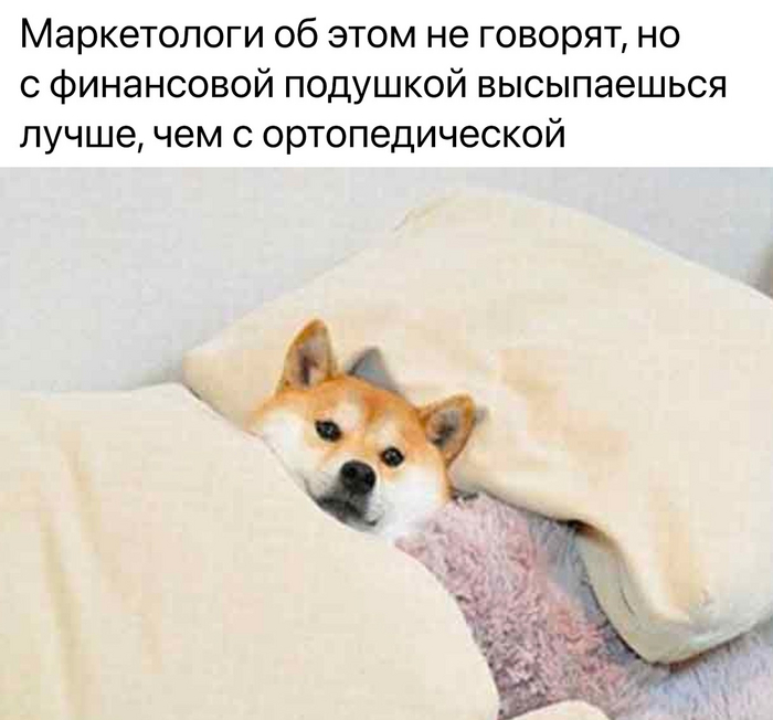 ��� ���������