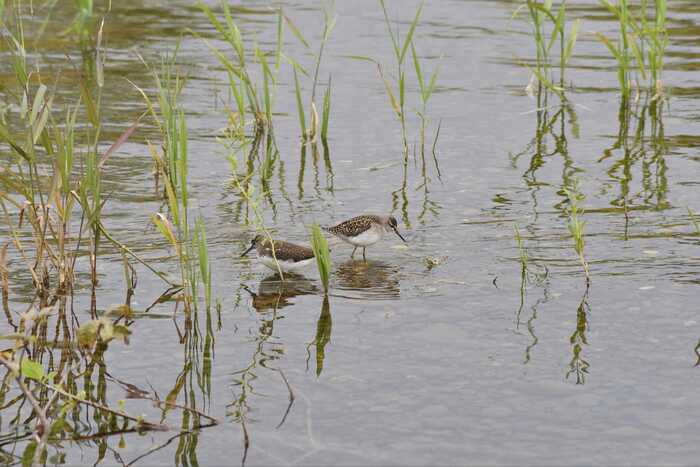 �����-����������