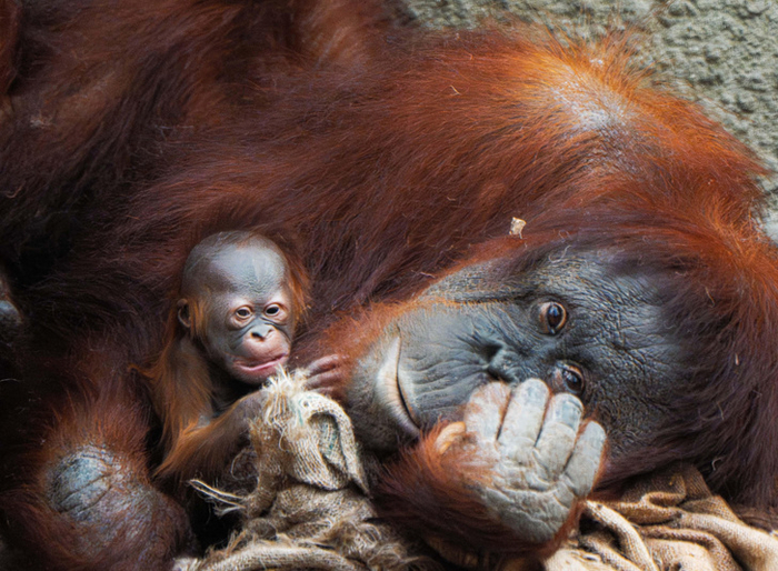 ����� � �������