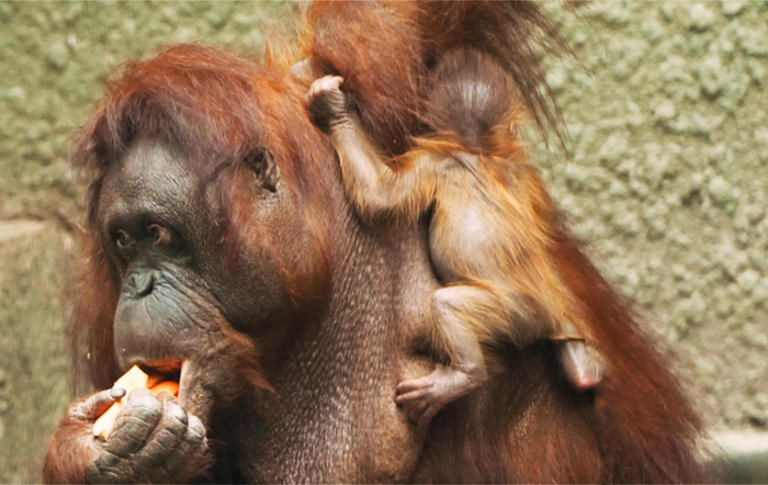 ���������� ����������� � ������ �������� ����� �� �������� �������� ���������� ��������� ����� ����������� ���� ���������������� �������.