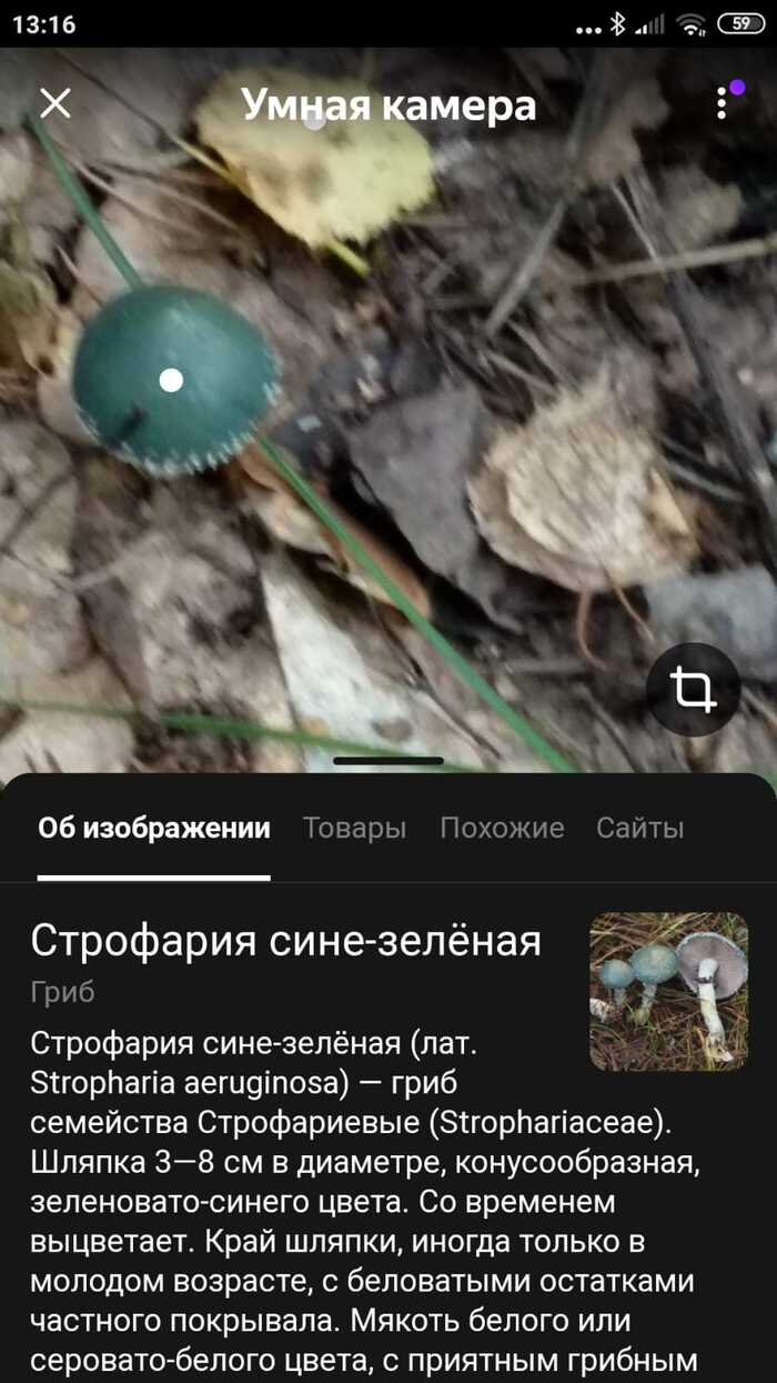 ������ ������ ����������