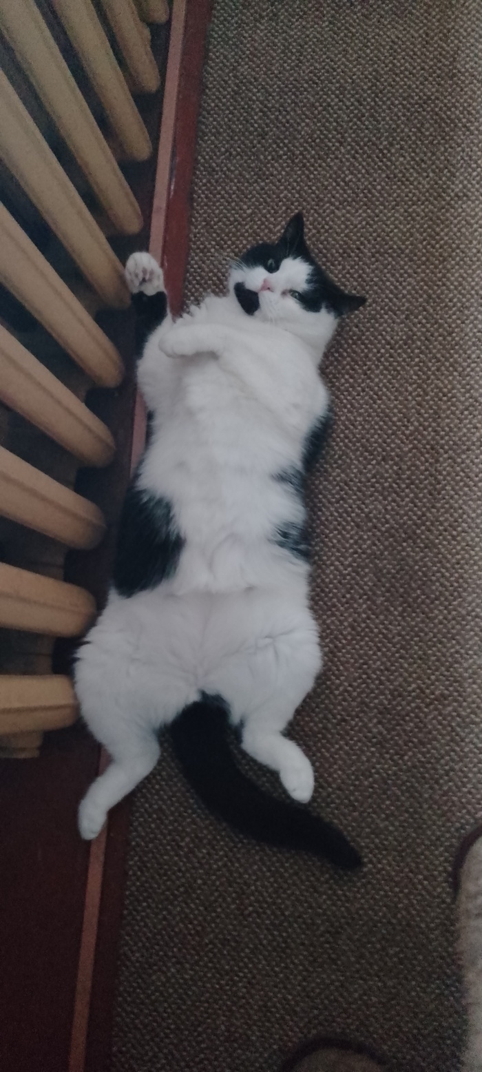 ��������� ����...