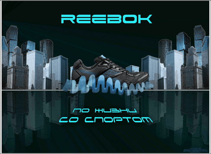    ,    (     ). 2010 .  .