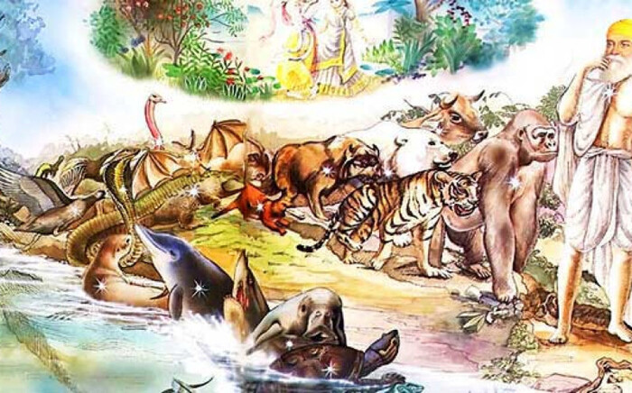 Кошка и переселение душ - Кот, Девять жизней, Мифы, Легенда, Индия, Мышь, Длиннопост
