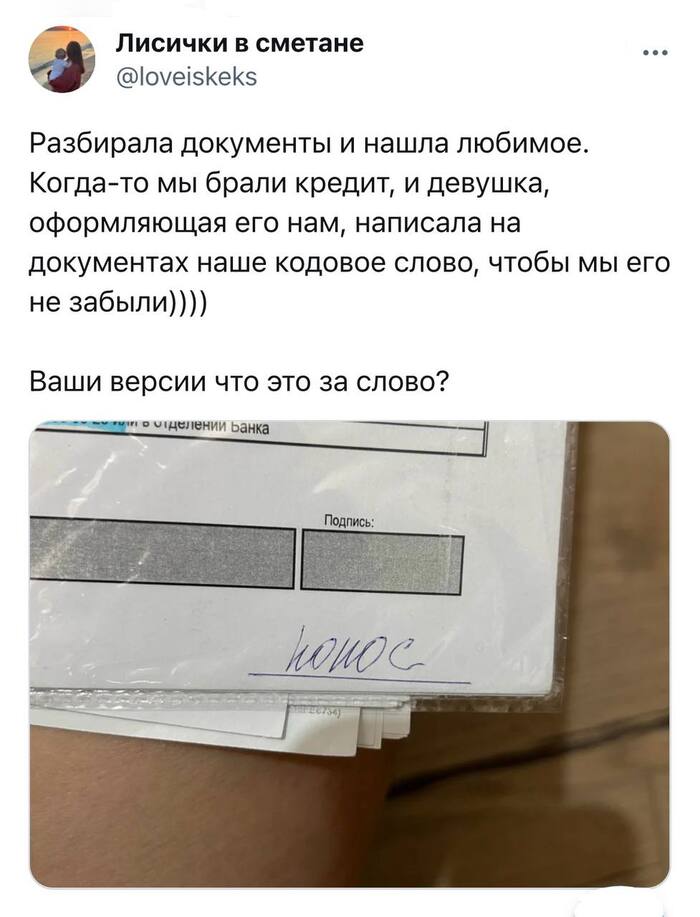 Две женщины орут на кота