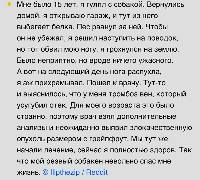 Спасибо песику