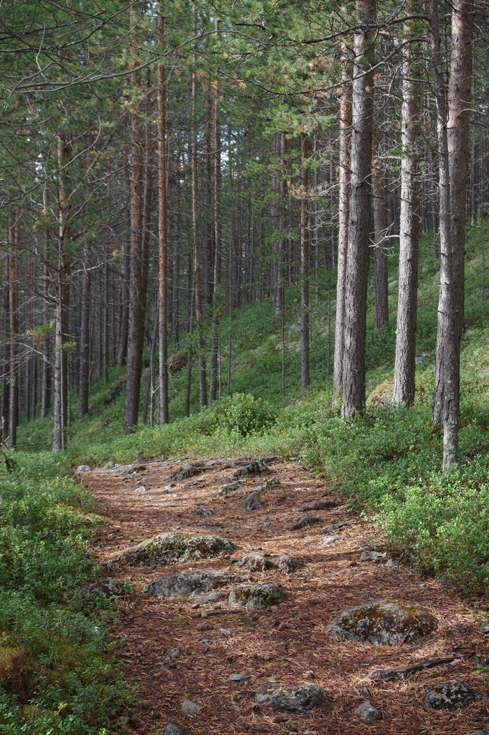 ������� ������