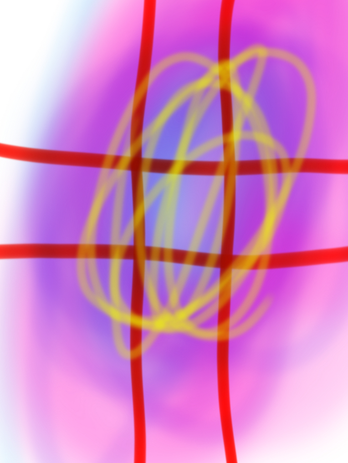 :         Watch dogs  