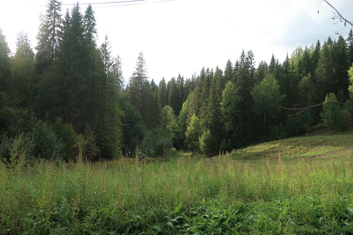 справа на фото небольшой подъёмчик - это и есть защитный вал, точно то, что от него осталось.