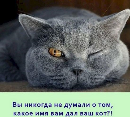 То, о чем лучше не знать