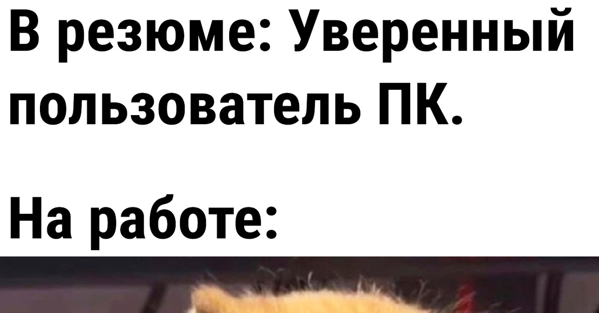 Уверенный пользователь | Пикабу