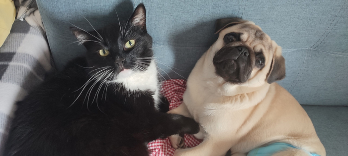 Тебя Иосиф и Оливия спрашивают, э