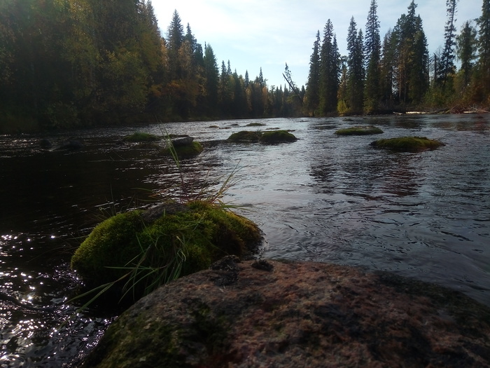 ��������