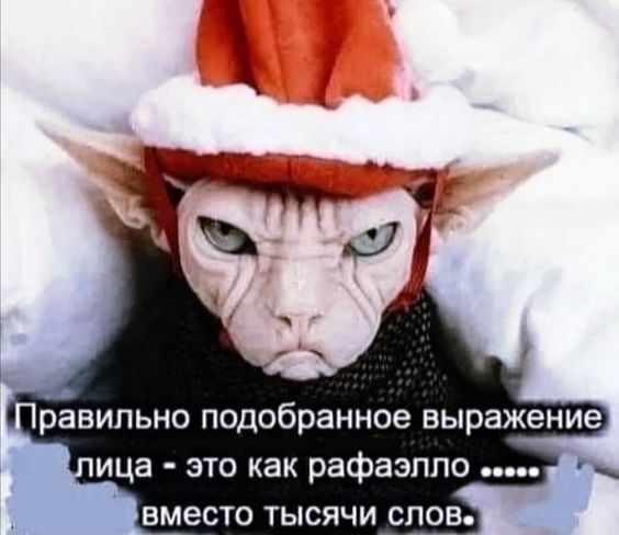 Когда не хватает слов